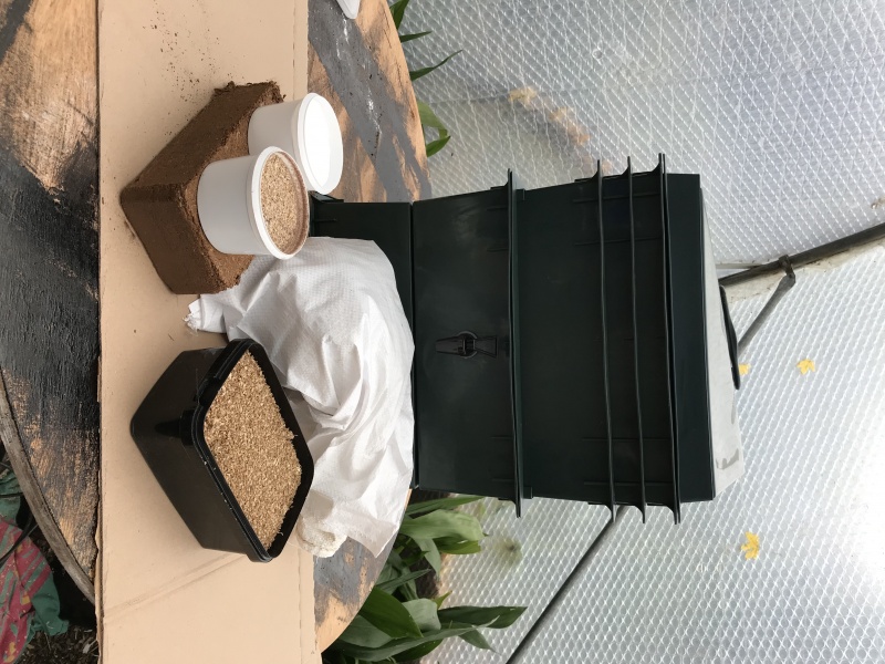 The Green Wormery, made from 100 recycled plastic Bubble House Worms