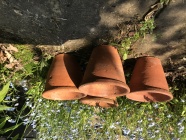 View categories and products within Vintage Terracotta pots