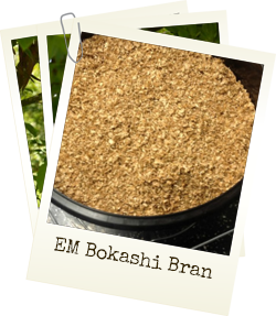 EM Bokashi Bran for sale