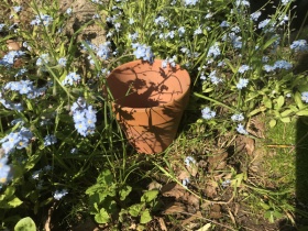 1930s terracotta pots