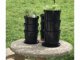 Mini Herb Garden Wormery 2 composters